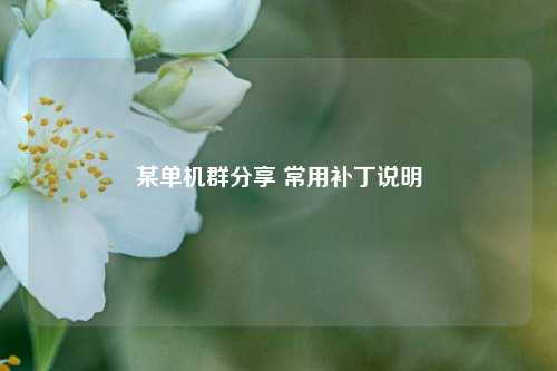 详细阅读:某单机群分享 常用补丁说明 某单机群分享 常用补丁说明