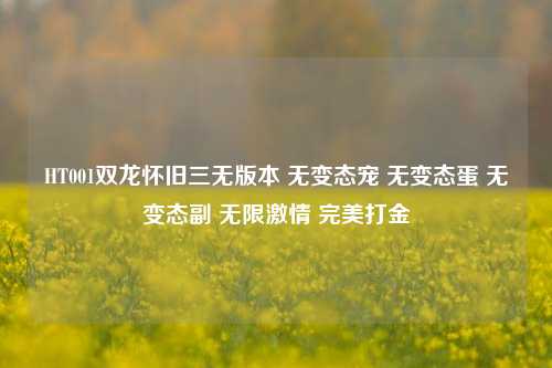 详细阅读:HT001双龙怀旧三无版本 无变态宠 无变态蛋 无变态副 无限激情 完美打金 HT001双龙怀旧三无版本 无变态宠 无变态蛋 无变态副 无限激情 完美打金